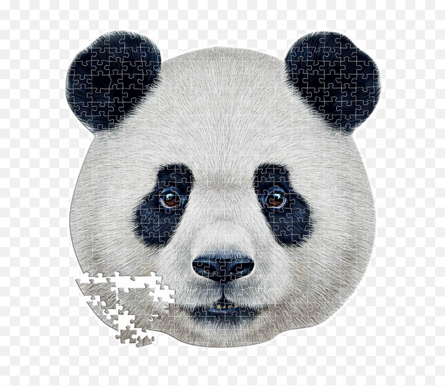 Panda Face - Am Panda Puzzle Emoji,Panda Bear Emoji