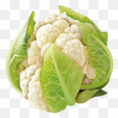 Veg King Europe Emoji,Veggies Emoji Broccoli