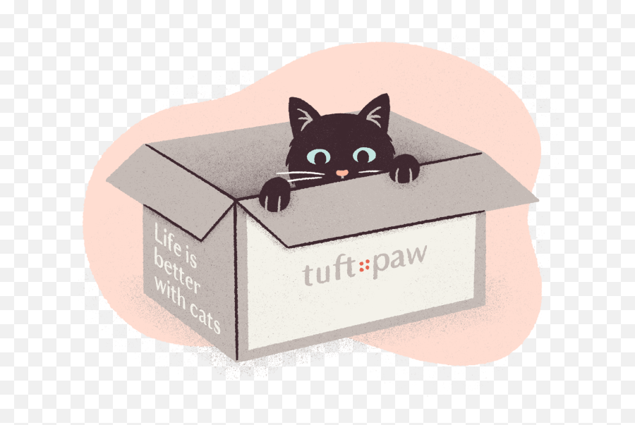How To Keep Cats From Scratching Furniture Tuft Paw - Cardboard Packaging Emoji,Cat's Emotions