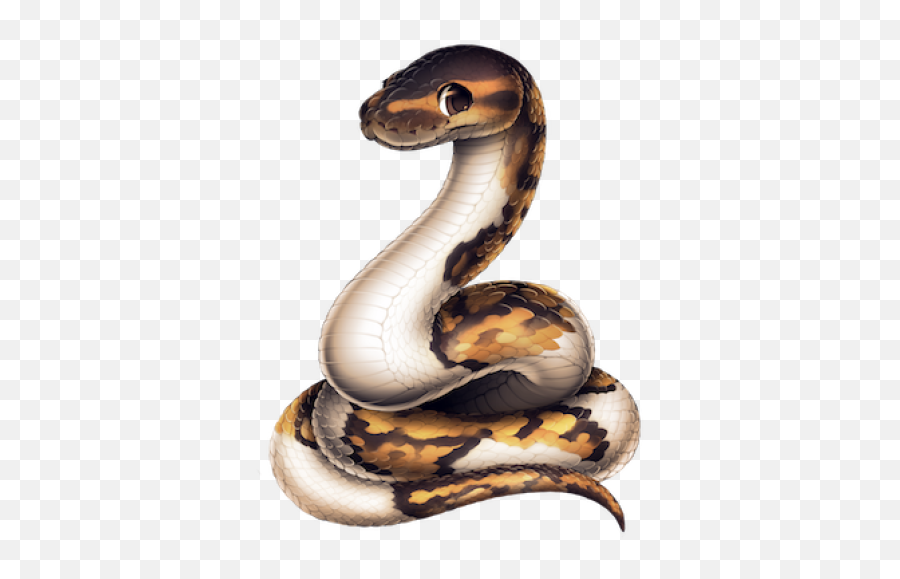 Ball Png And Vectors For Free Download - Dlpngcom Snake Ball Python Png Emoji,Emoji Ball Python