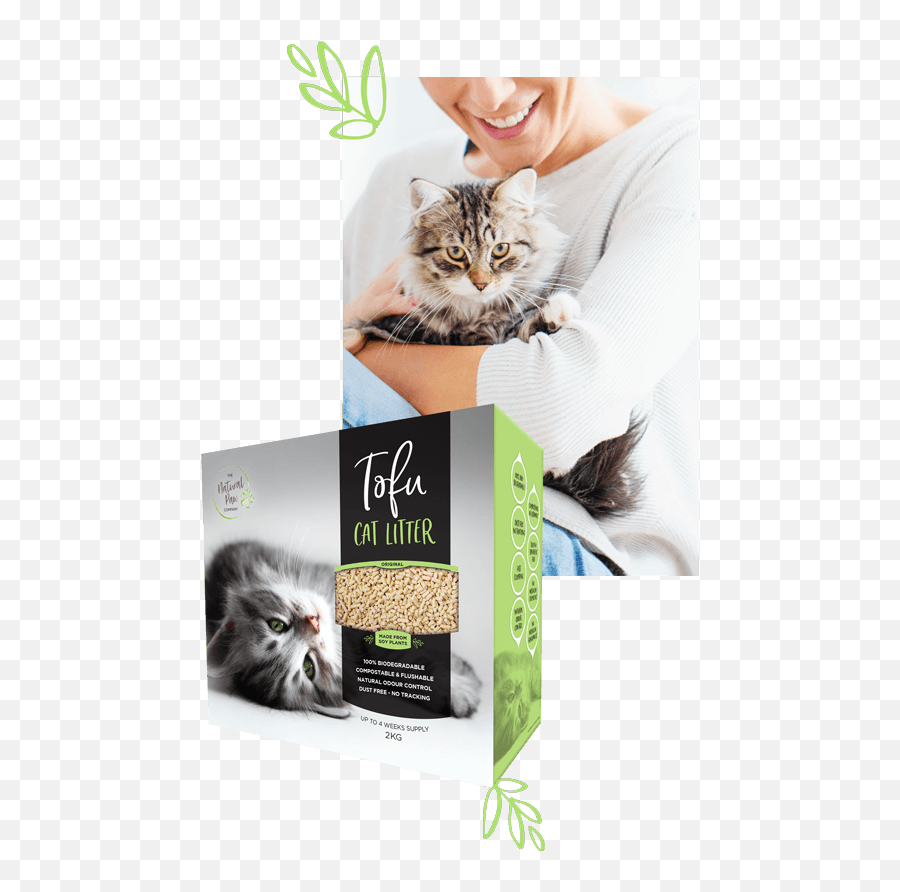 Tofu Cat Litter - How Do Cats Communicate Woolworths Tofu Cat Litter Emoji,Cat Tail Emotions