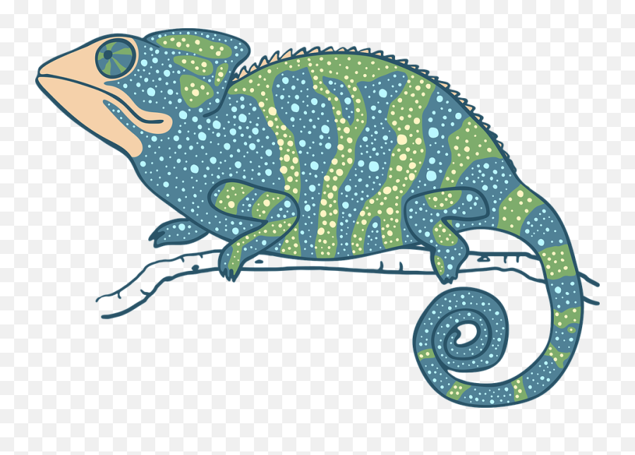 Free Chameleon Lizard Illustrations - Chameleons Emoji,Colors Emotions Chameleon Character
