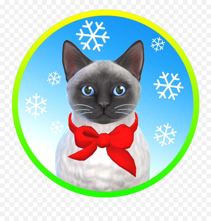 Sims 4 Pets Raccoon Paws - Cat Apparel Emoji,Sims 4 Converted Emotion Poses Cas