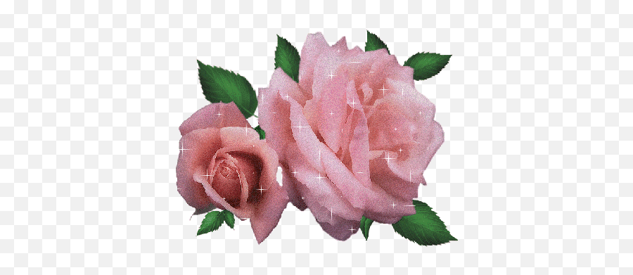 Google Roses Pinterest Pink Roses - Glitter Rose Gif Png Emoji,Pink Rose Emoticon Meaning