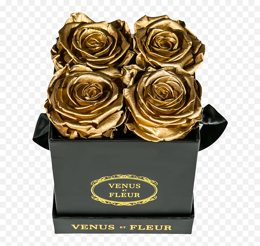 Le Petite Floral Eternity Rose - Garden Roses Emoji,Deep Emotions Roses