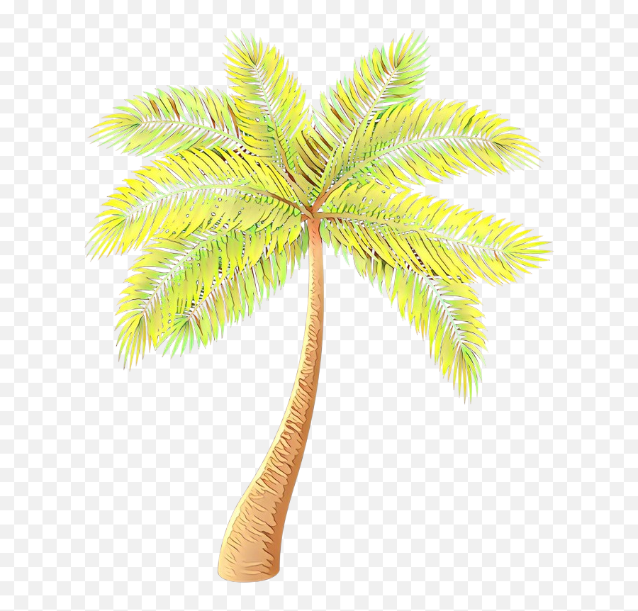 Asian Palmyra Palm Date Palm Palm Trees - Palm Tree Yellow Background Transparent Emoji,Download Emoji For Palm Trees