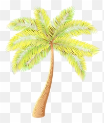 Asian Palmyra Palm Date Palm Palm Trees - Palm Tree Yellow Background Transparent Emoji,Download Emoji For Palm Trees