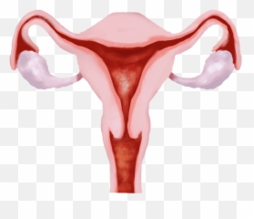 Proposal For Body - Blood Emoji,Emoji For Vagina