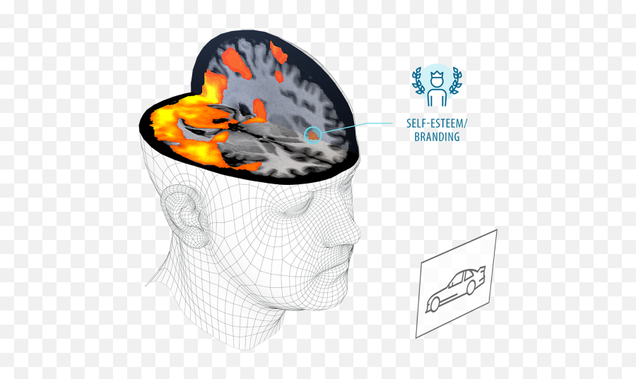 Brain Impact Consumer Neuroscience - For Adult Emoji,Brain Anatomy Emotions