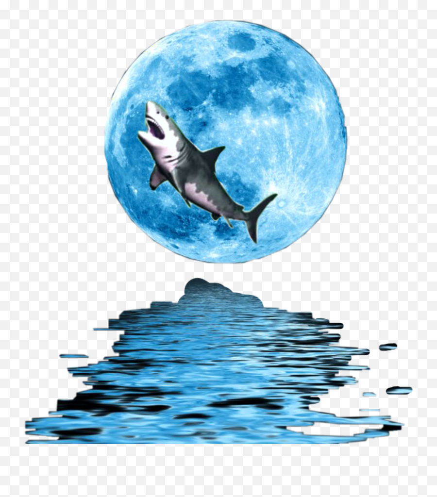 Sharkmoonlight Moonlight Shark Moon Sticker By M - Moon Emoji,Fish Moon Emoji
