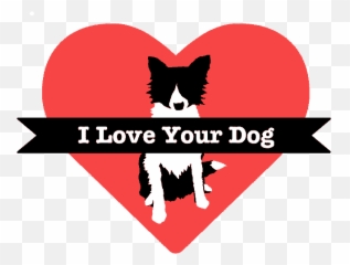 Can You Help Aggressive Dogs With All Positive Methods Emoji,Videos Of Dogs Emotions