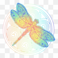 Services - Greensboro Whole Life Coaching Emoji,Emotions In Zhineng Qigong Anger Grief