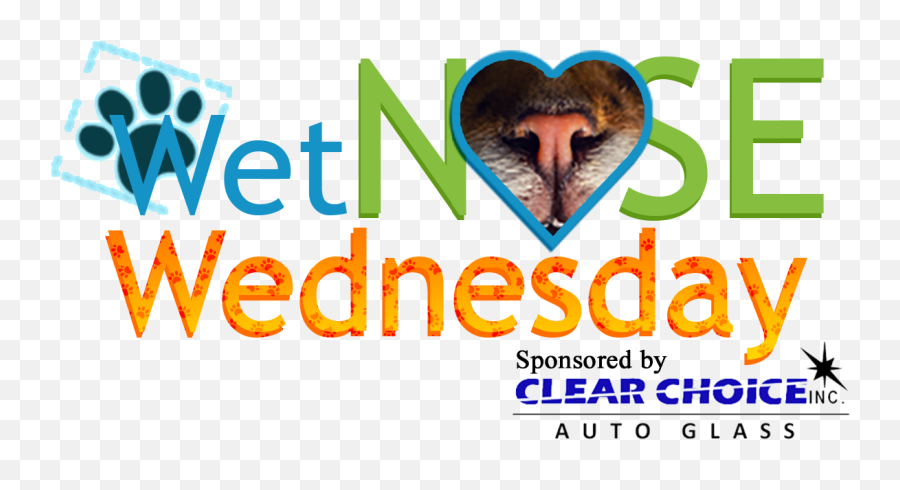 Wet Nose Wednesday Emoji,Emoji Movie Mishka