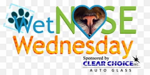 Wet Nose Wednesday Emoji,Emoji Movie Mishka
