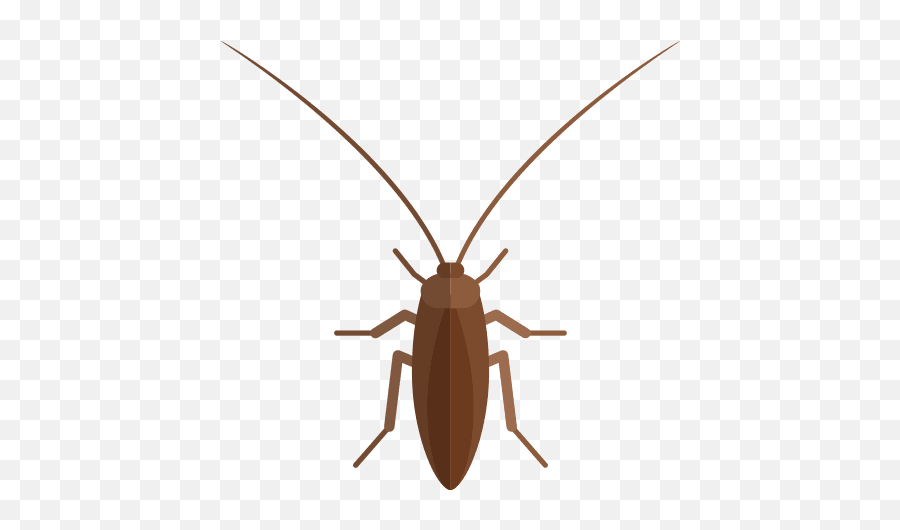 Roach Exterminator Cockroach Infestation Santee Pest Control Emoji,Cockaroach Emoji