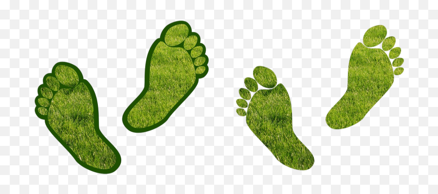 Toes Png Images Download Toes Png Transparent Image With Emoji,Green Siren Light Emoji