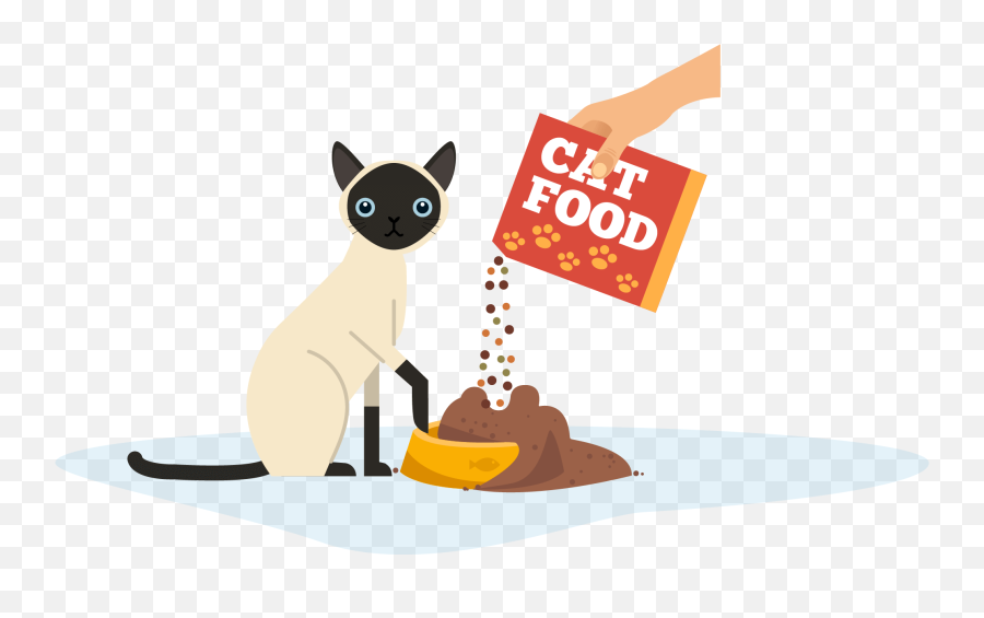 The Complete Guide To Feline Nutrition - Weu0027re All About Cats Feed The Cat Png Emoji,Cat Definitely Show Emotion