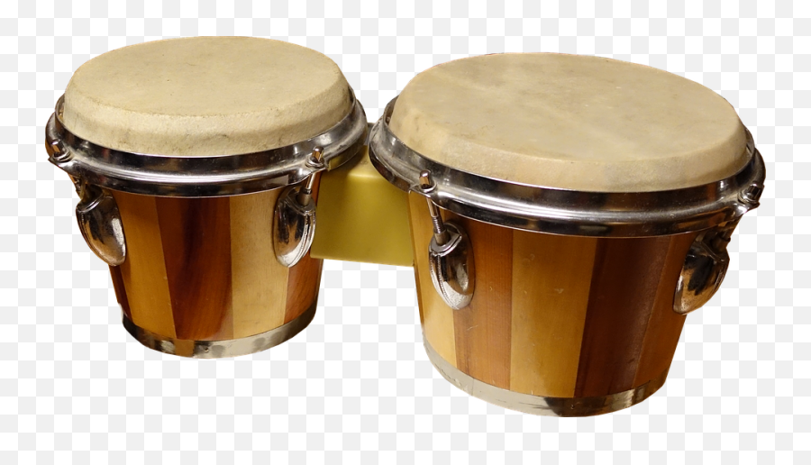 Free Resources About Musical Instruments - Homeschool Giveaways Bongo Drums Png Emoji,Responsibility Emotions Musical