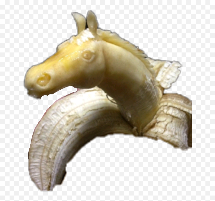 Caballo Banana Sticker - Banana Sculpture Emoji,Emojis De Caballos