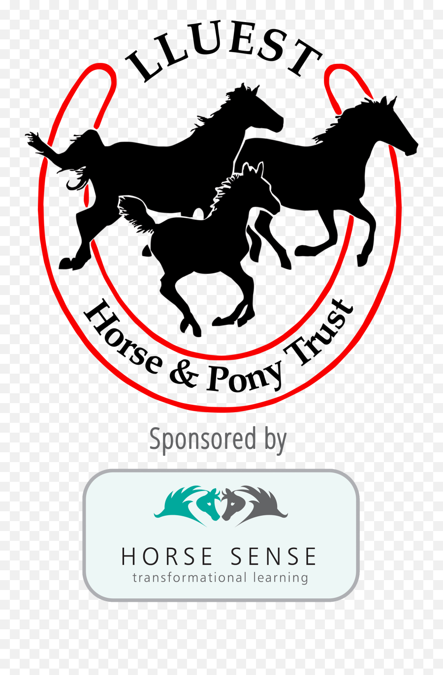 Horse Sense - Lluest Horse Pony Trust Emoji,Horse Emotions Chart