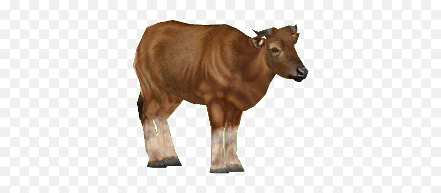 Burma Banteng Holden Zt2 Download Library Wiki Fandom Emoji,Extinct Emojis