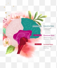 Anxiety Counselling Brisbane - A Whole Body Approach To Fresh Emoji,Anxious Emotions