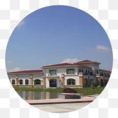 About Sihuan U2014 Sihuan Pharmaceutical Emoji,Ding Zhi Wan Settle The Emotions Pill