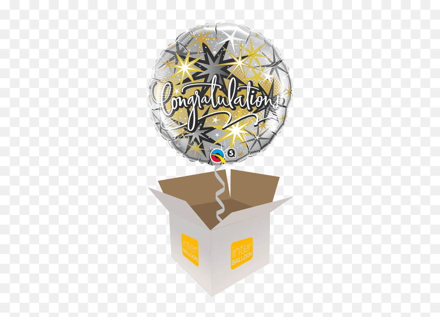 Paisley Helium Balloon Delivery In A Box Send Balloons To - Birthday Balloons Black And Gold Png Emoji,Golden Shower Emoji