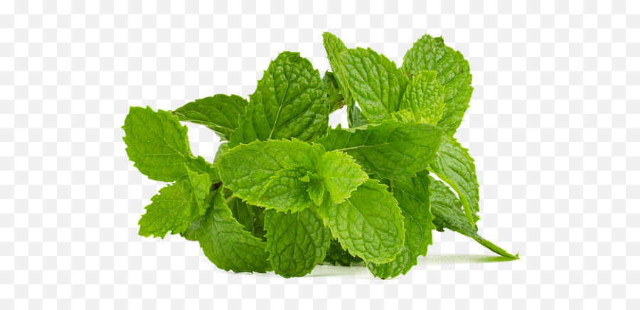 Falcon Rose Holistic Health - Falcon Rose Holistic Health Blog Emoji,Chili Peppers Devotion Emotion Refraction