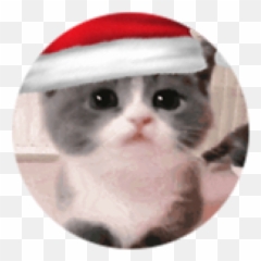 Thank You For Joining Heart Rateu0027s Homestore - Roblox Emoji,Aesthetic Emoticon Heart