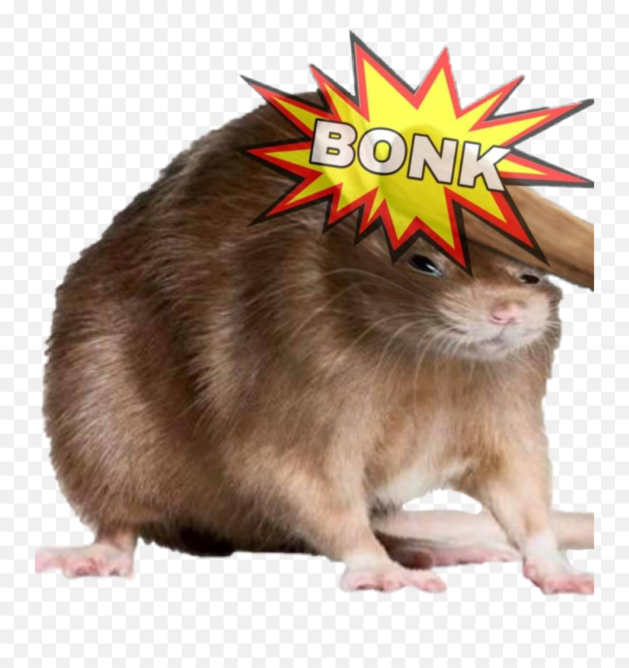Bonk Rat Meme Sticker Sticker - Rat Is Short For Ratthew Emoji,Bonk Emoji