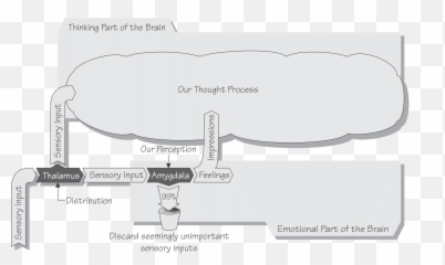 The Hypothalamus - Feelings And Emotions Horizontal Emoji,Emotion Vs Feeling