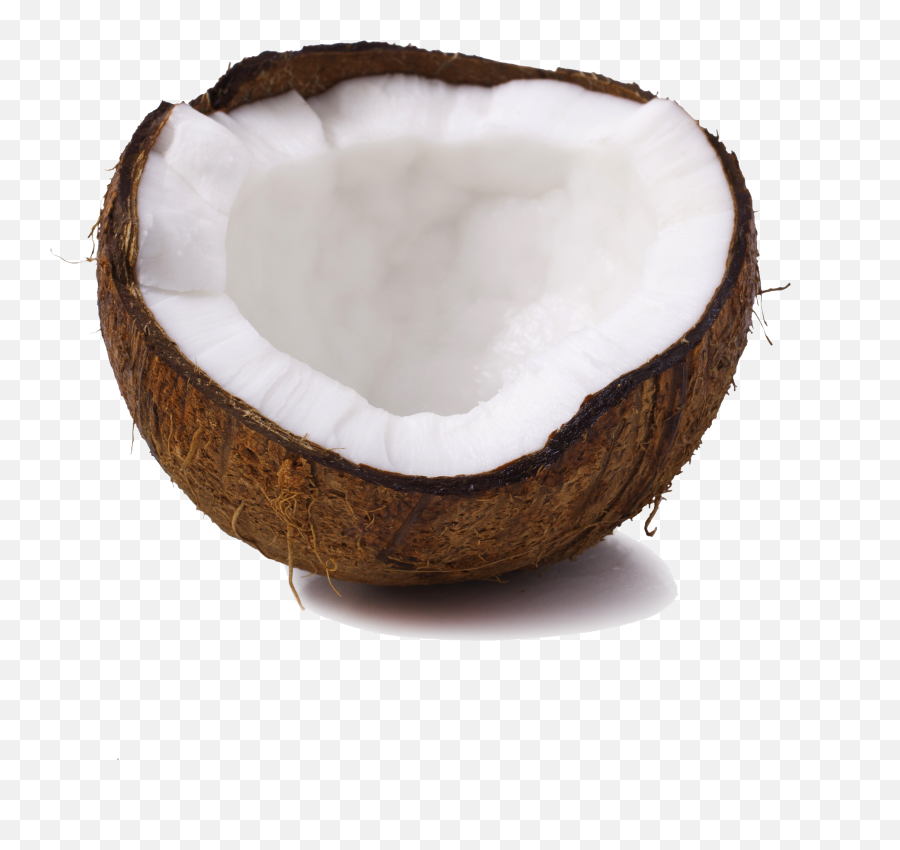 Coconut Png Pictures Coconut Fresh Fruits Tropical - Free Fresh Emoji,Avocado Emoji Transparent Background