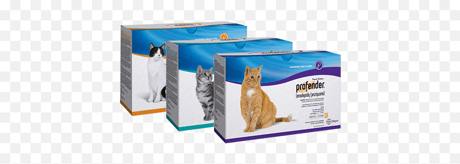 Profender Topical Solution - Profender For Cats Uk Emoji,Cat Emotions Ear Chart