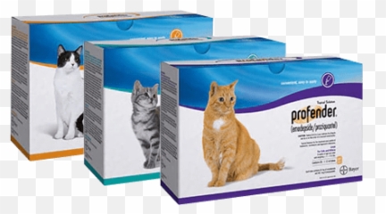 Profender Topical Solution - Profender For Cats Uk Emoji,Cat Emotions Ear Chart