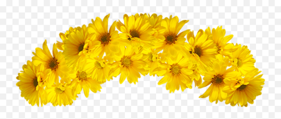 Instagram Aesthetic Sunflower Pictures - Transparent Background Yellow Flower Crown Transparent Emoji,Yello Emojis