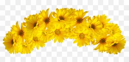 Instagram Aesthetic Sunflower Pictures - Transparent Background Yellow Flower Crown Transparent Emoji,Yello Emojis