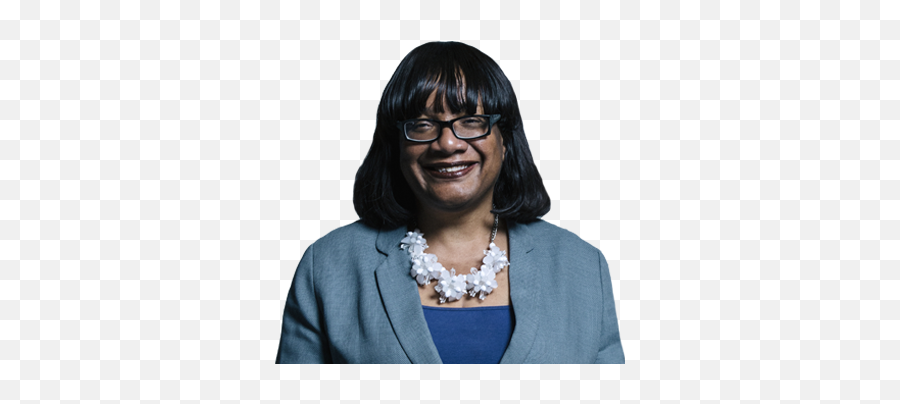 Tory Austerity Wrecked Our Education System U2013 The Term - Diane Abbott Transparent Background Emoji,