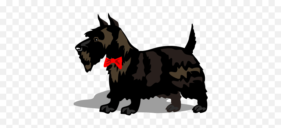 Dogs Breeds - Vulnerable Native Breeds Emoji,Terrier Dog Emoji Png