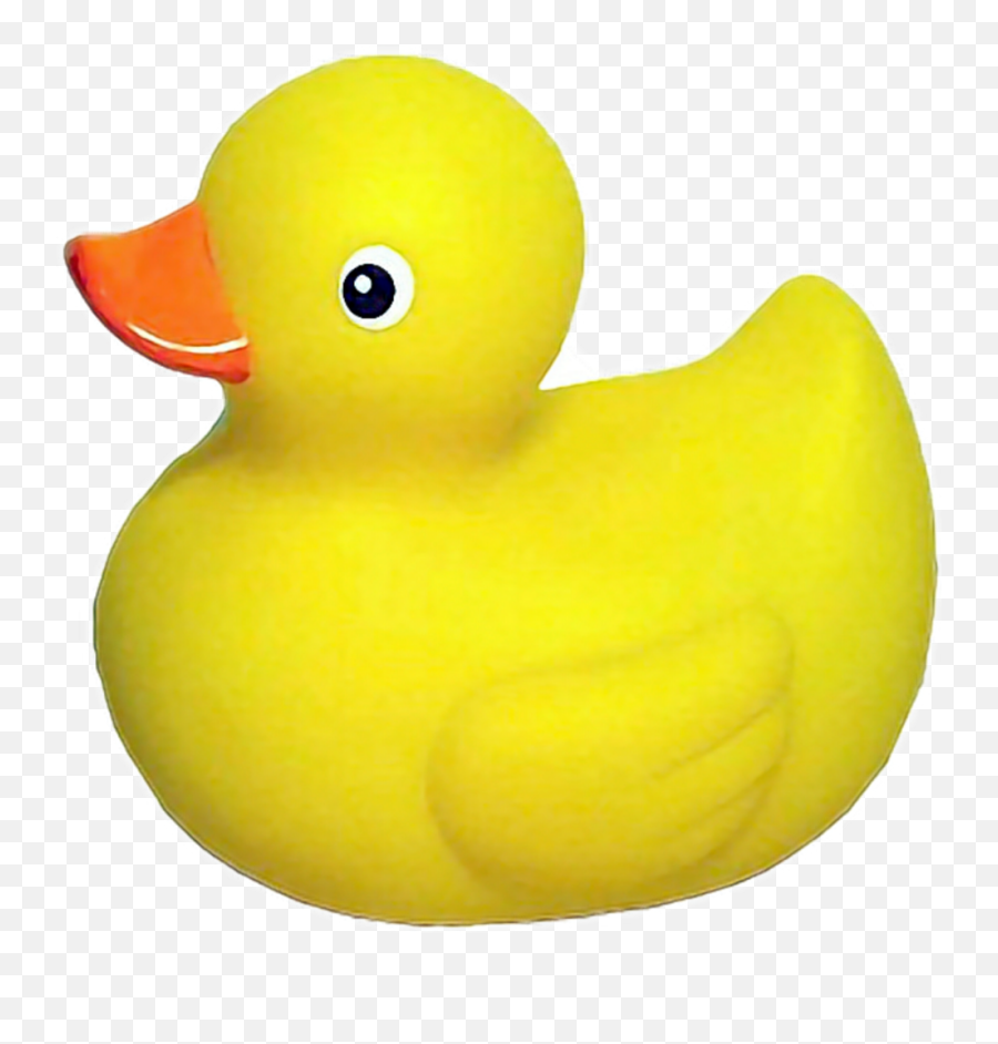 Желтая утка. Ducky утка. Желтая утка игрушка. Резиновая уточка. Утка резиновая игрушка.