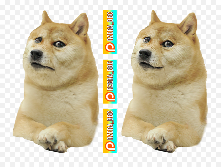 Dogelore - Abomination Png Dogelore Emoji,Bbc Dogs Emotions
