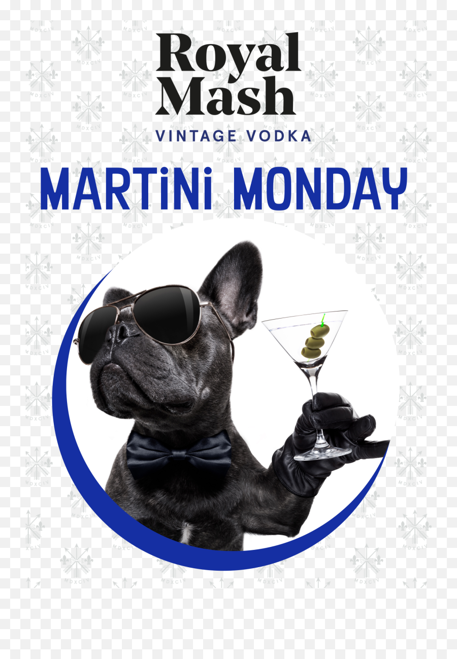 Royal Mash Ultra Premium Vodka - French Bulldog Cool Background Emoji,Mash Emoji Png