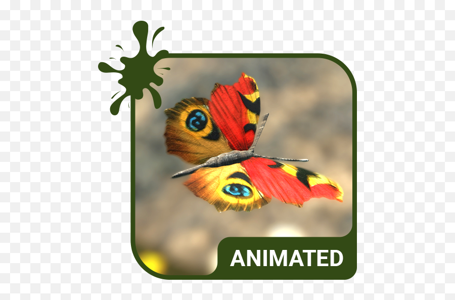 Butterfly Animated Keyboard Live Wallpaper Apk Download - Peacock Butterfly Emoji,3d Emoji Wallpaper