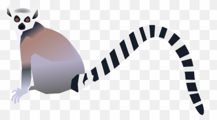 Ring - Lémurien Png Emoji,Lemur Emoji