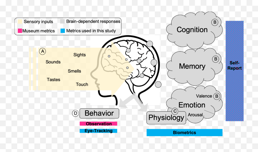 Unlocking The Neuroscience Of Visitor Experience U2013 American - For Adult Emoji,Quote On Emotions