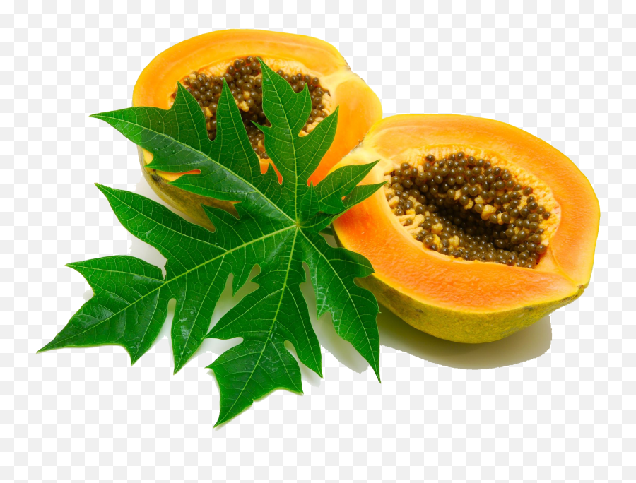 Download Papaya Image Hq Png Image Freepngimg - Papaya Fruits And Leaves Emoji,Avocado Emoji Transparent Background