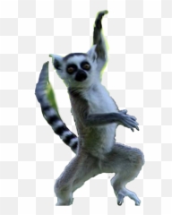 The Most Edited - Like To Move It Move Emoji,Lemur Emoji