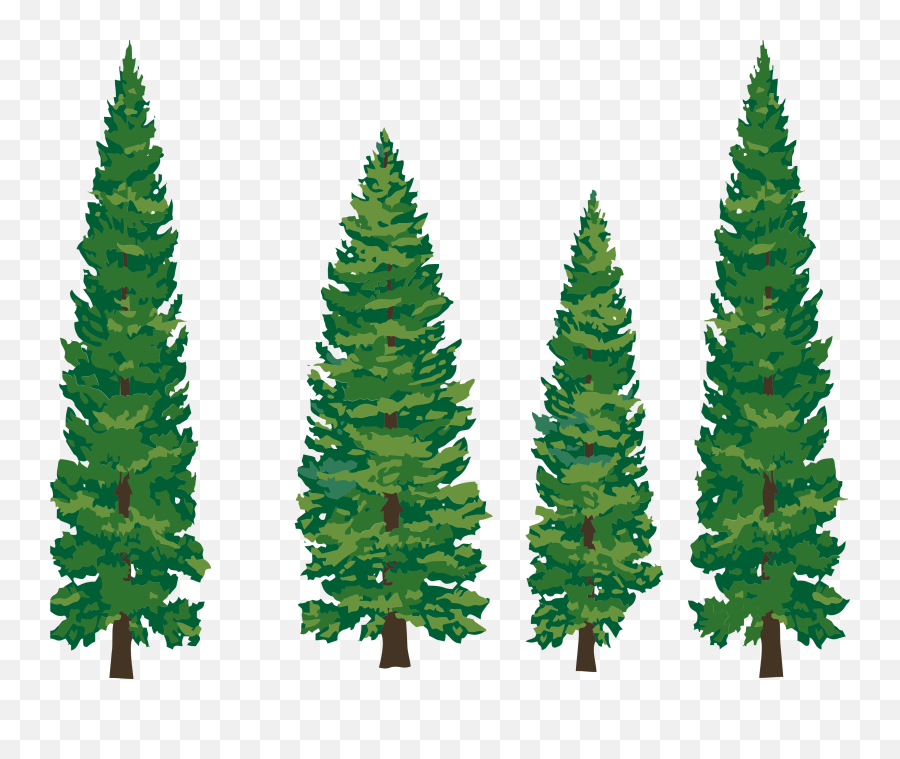 Pine Tree Clipart Free Clipart Images 4 - Pine Tree Cartoon Png Emoji,Pine Tree Emoji