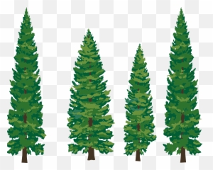 Pine Tree Clipart Free Clipart Images 4 - Pine Tree Cartoon Png Emoji,Pine Tree Emoji