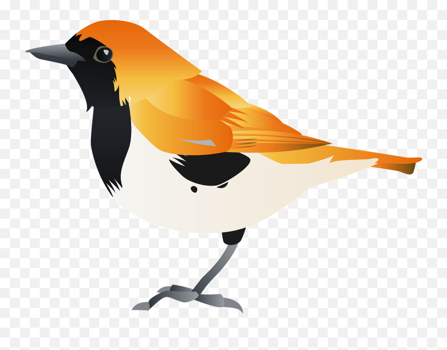 Ryukyu Robin Bird Clipart Free Download Transparent Png - Old World Flycatchers Emoji,Hummingbird Emoji